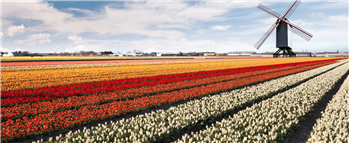 Grand Holland Tour With a touch of Belgium ShowCase